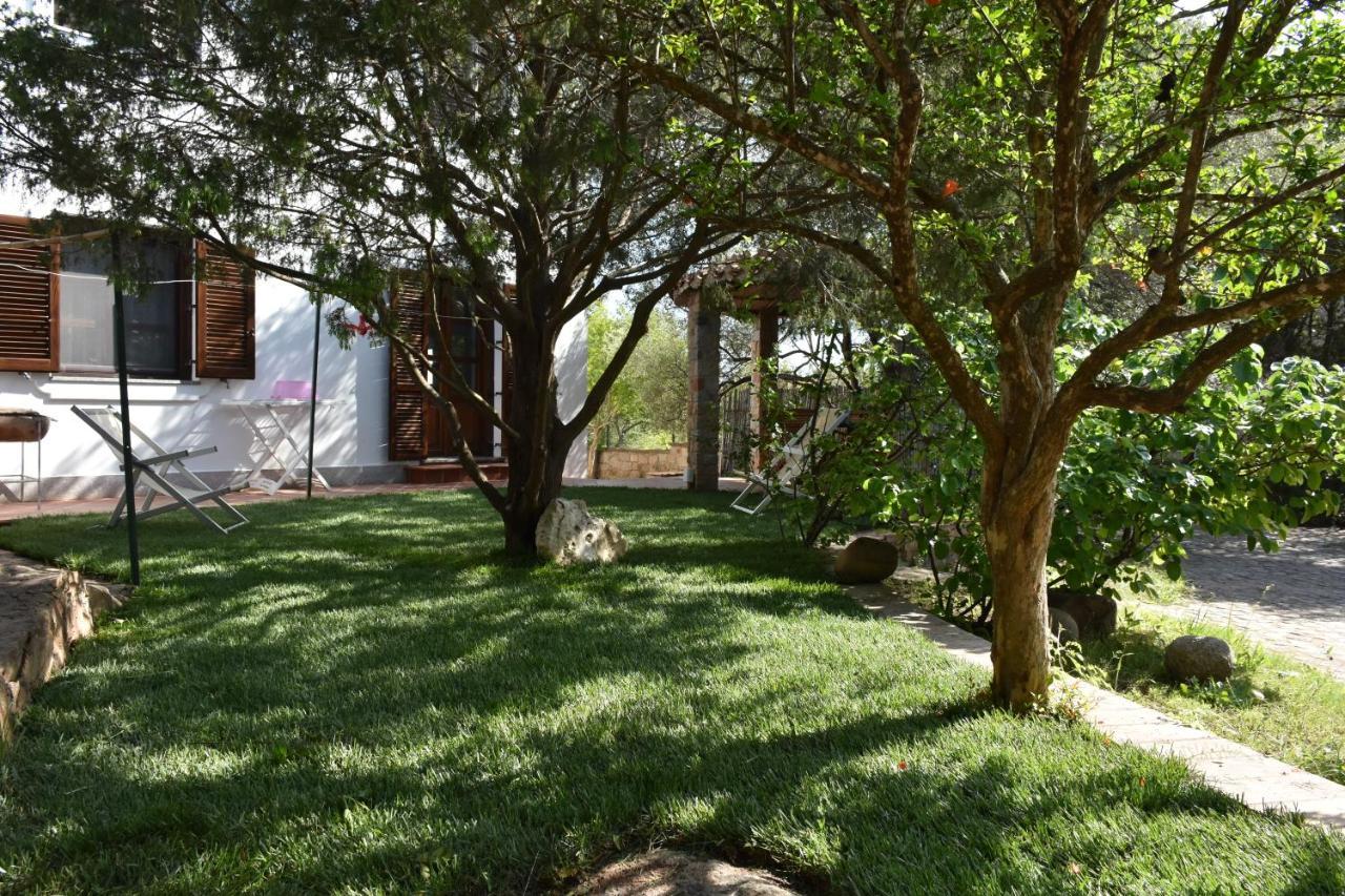 Villa Juniper Santa Maria Navarrese Luaran gambar